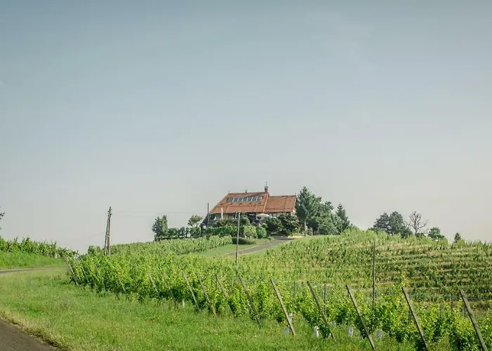 Taverna&Wine Jeruzalem