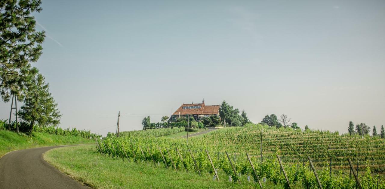Taverna & Wine Jeruzalem Guest house *